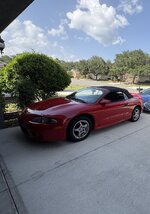 IMG_8584.jpeg