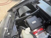 IMG_1491.jpeg