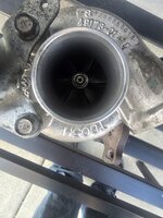 20260819_184909.jpg