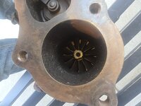 20260819_184943.jpg