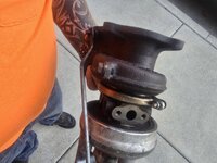 20260819_184958.jpg