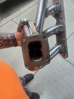 20260819_193302.jpg