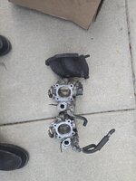 20260819_194337.jpg