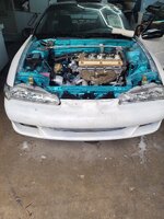 20260819_174018.jpg