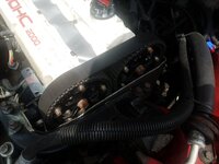 20190710_155147.jpg