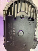 IMG_8336.jpeg