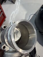IMG_8337.jpeg