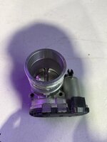 IMG_8333.jpeg