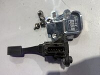 IMG_8330.jpeg