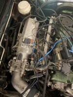 IMG_5191.jpeg