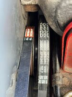 IMG_2040.jpeg