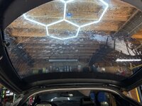 IMG_6977.jpeg