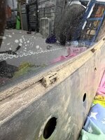 IMG_8643.jpeg