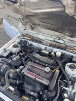 IMG_3881.jpeg
