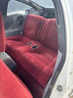IMG_3873.jpeg