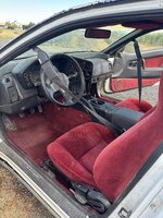IMG_3871.jpeg