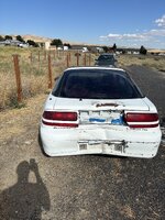 IMG_3886.jpeg