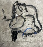 IMG_3078.jpeg