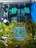 IMG_1905.jpeg