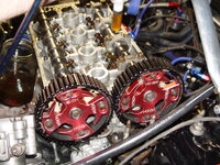 DSC02902.JPG
