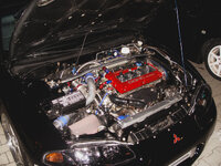 DSC02923-2.jpg