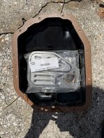 IMG_8647.jpeg
