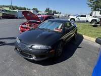 IMG_7013.jpeg
