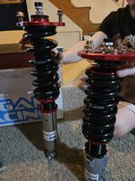 20260902_193156.jpg