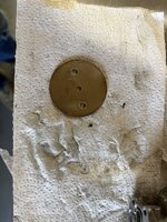 IMG_6974.jpeg