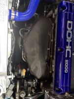 IMG_7021.jpeg