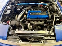 IMG_5319.jpeg