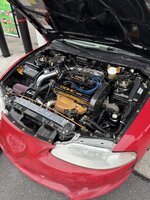 IMG_7260.jpeg