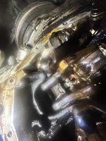 IMG_3677.jpeg
