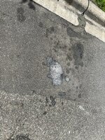 IMG_3665.jpeg