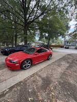 IMG_1420.jpeg