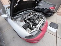 IMG_4863.jpeg