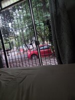 20260530_135504.jpg