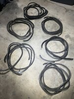 IMG_3171.jpeg