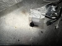 IMG_0602.jpeg