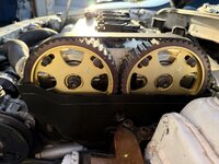IMG_0627.jpeg