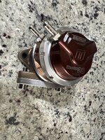 IMG_4198.jpeg