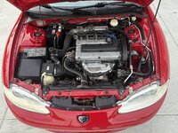 IMG_7918.jpeg