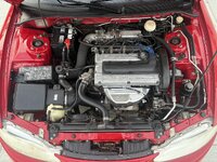 IMG_7920.jpeg