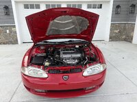 IMG_7923.jpeg