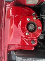 IMG_7922.jpeg