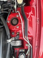 IMG_7921.jpeg
