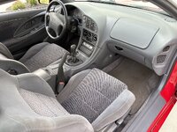 IMG_7896.jpeg