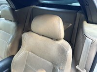 IMG_3117.jpeg