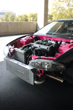 IMG_8917.jpeg