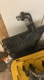 IMG_8692.jpeg